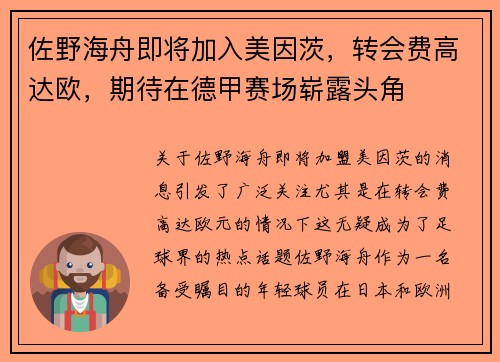 佐野海舟即将加入美因茨，转会费高达欧，期待在德甲赛场崭露头角